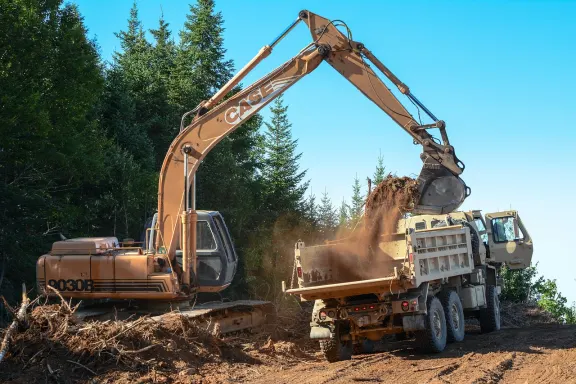 بينجو كافيه كازينو الدعم